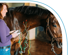 equine-acu-mobile-image-2